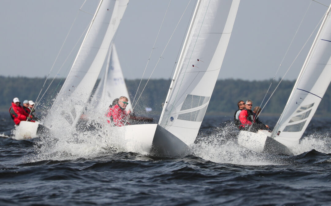 Фотографии Елены Разиной