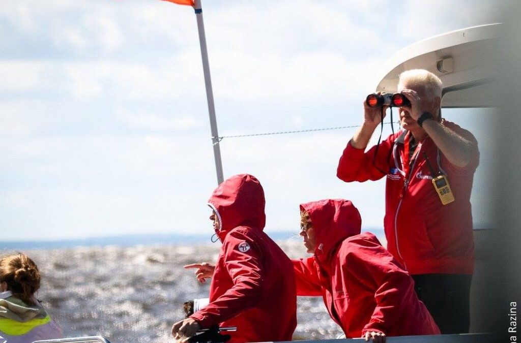 В надежных руках